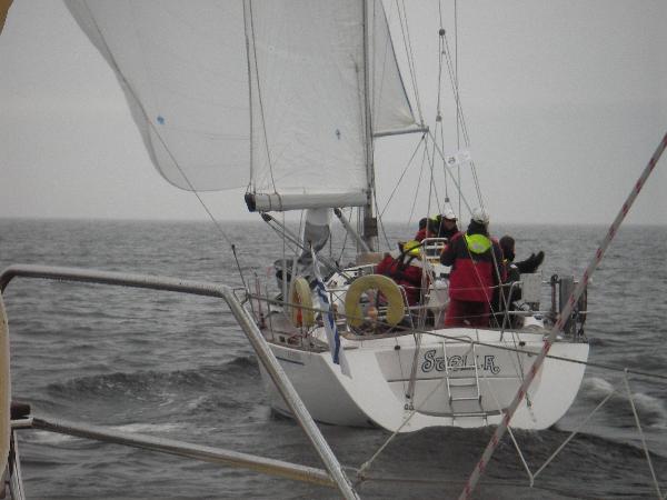 FIN 10094 Stella