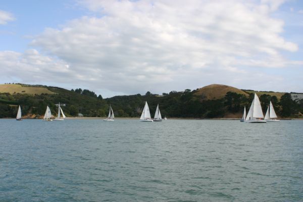 Waiheke